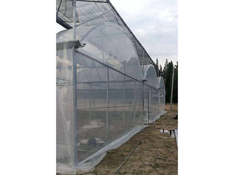 Five layer coextrusion greenhouse film